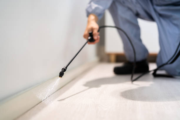 Licensed Pest Control service in Logan, OH - Show Me Pest Control