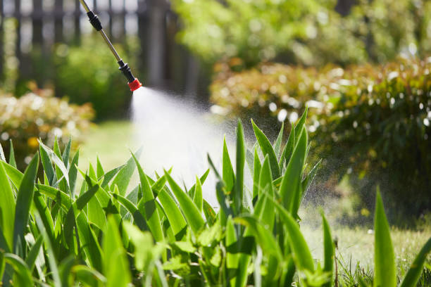 24/7 Emergency Mosquito Control experts in Logan, OH