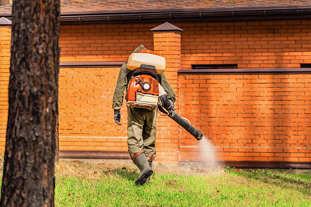 Top rated local Mosquito Control specialists in Logan, OH